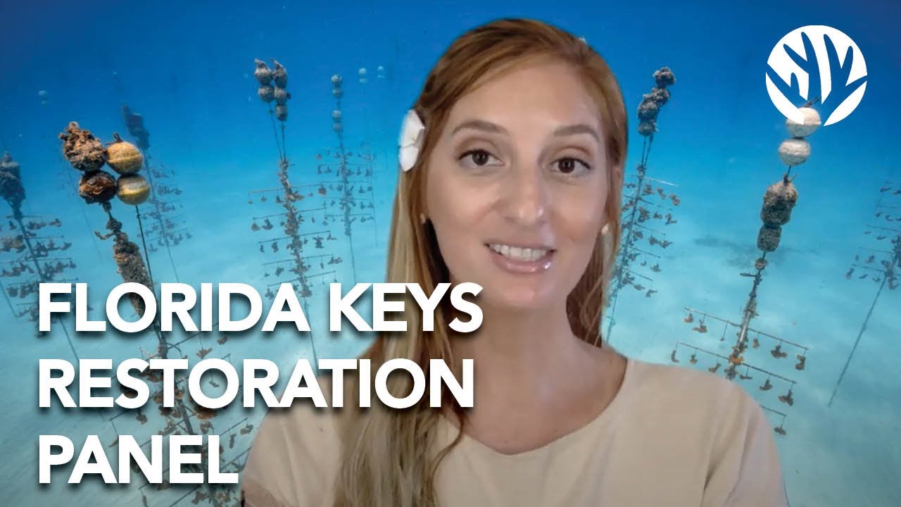Scientific Journal Panel: Coral Restoration in the Florida Keys (Coralpalooza Digital 2020)