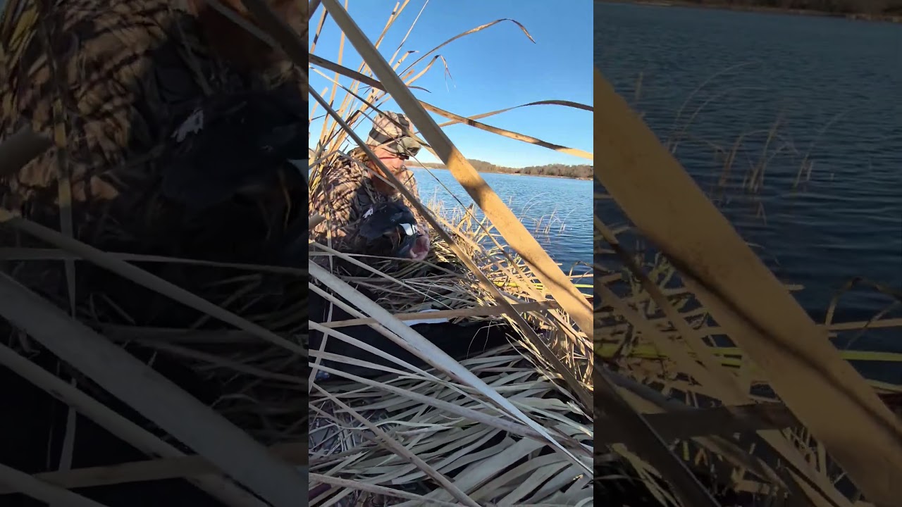 duck hunting in  Minnesota, so much fun.