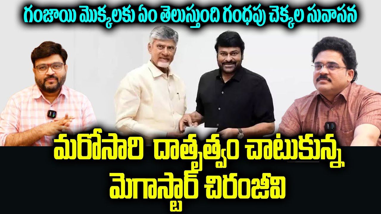 మరోసారి దాతృత్వాన్ని చాటుకున్న చిరంజీవి  | Chiranjeevi |CM Relief Fund donation |Kiran Tv News