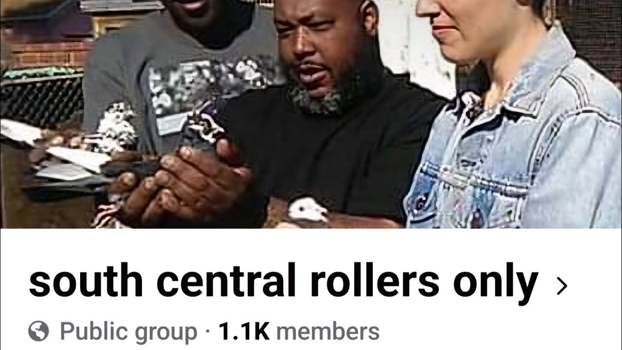 South Central Rollers Interview High Science Ornithology part II