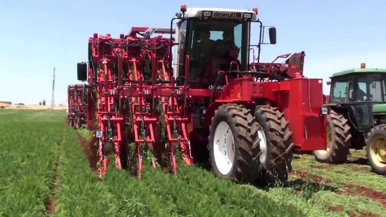 Dewulf ZKIIISE - 3-row self-propelled carrot harvester