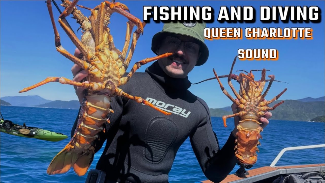 Fishing and Diving the Queen Charlotte Sound NZ - Huge Crayfish!
