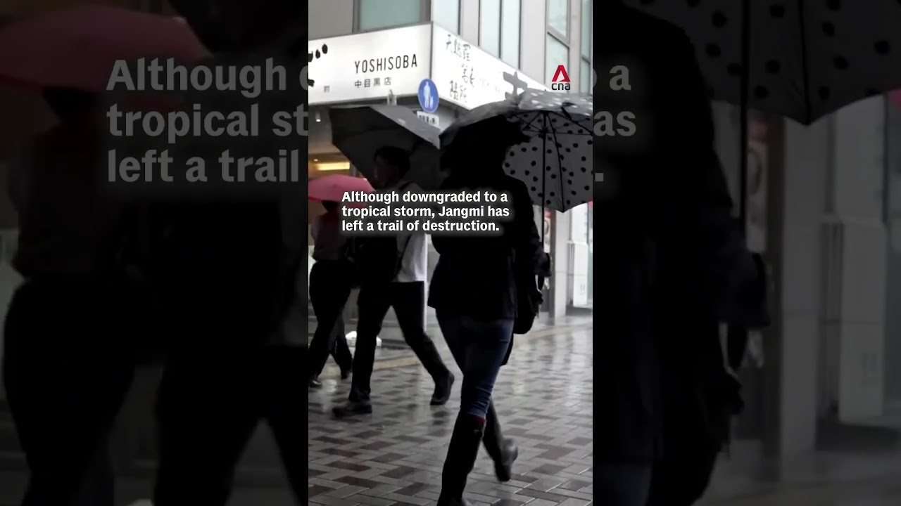 Tropical storm triggers floods and landslides in parts of Japan