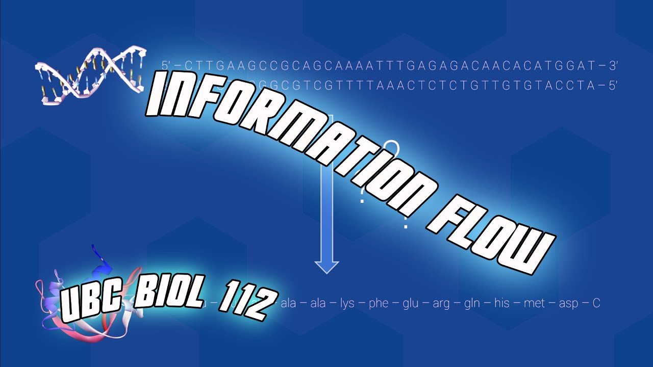 Information Flow - Biol 112 at UBC