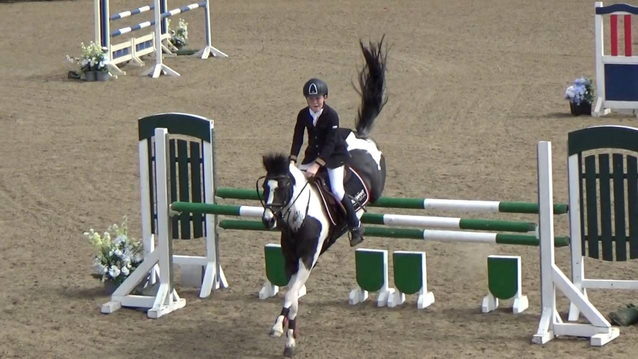 Weston Lawns 128cm HOYS Qualifier May 2016