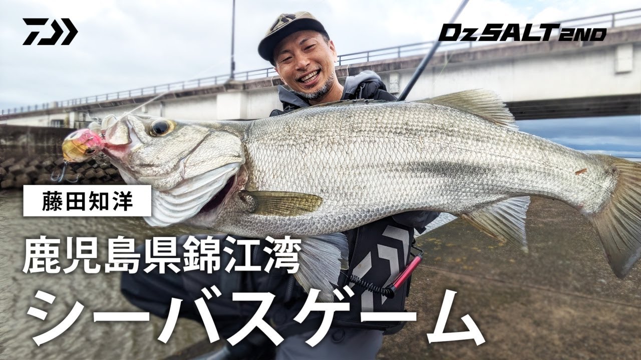 [シーバス] Dz SALT 2ND 鹿児島県錦江湾 シーバスゲーム