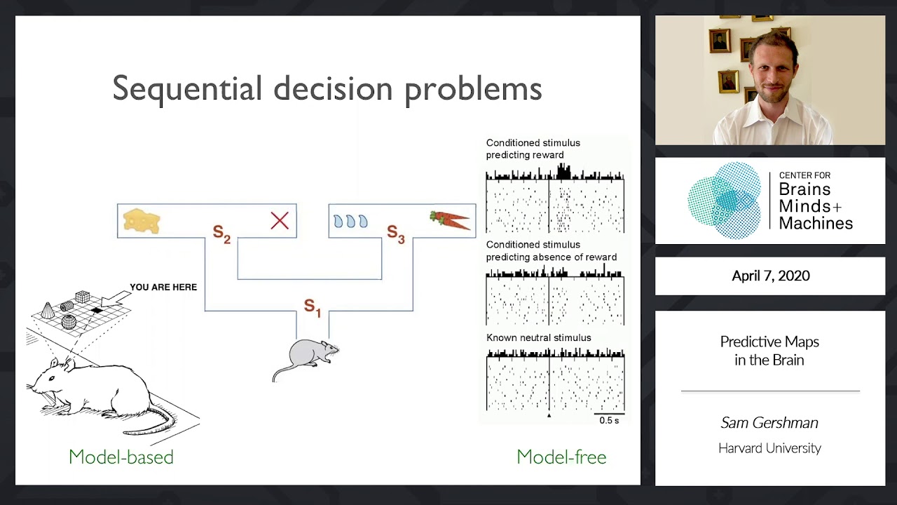 Predictive Maps in the Brain