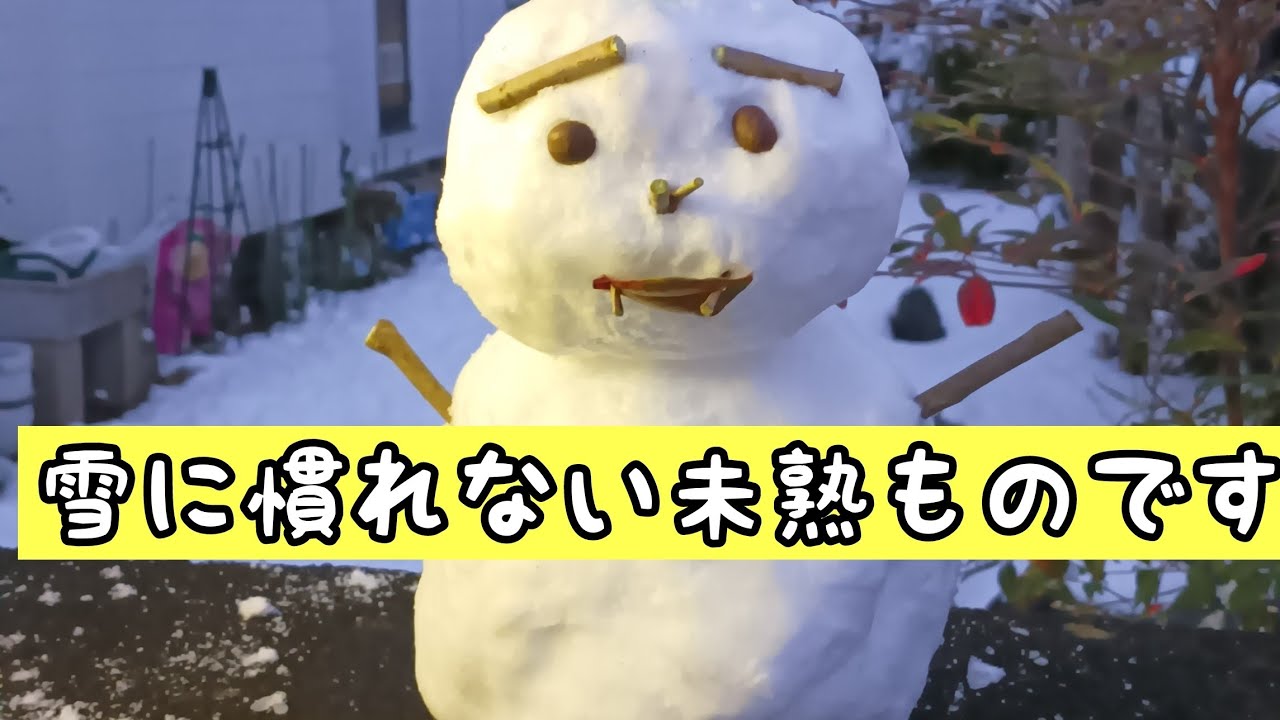 2026年2月9日