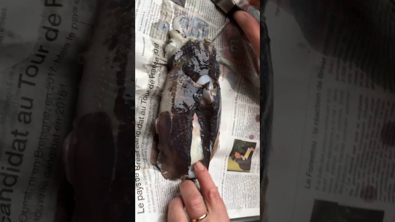 Seiche, nettoyage facile des blancs