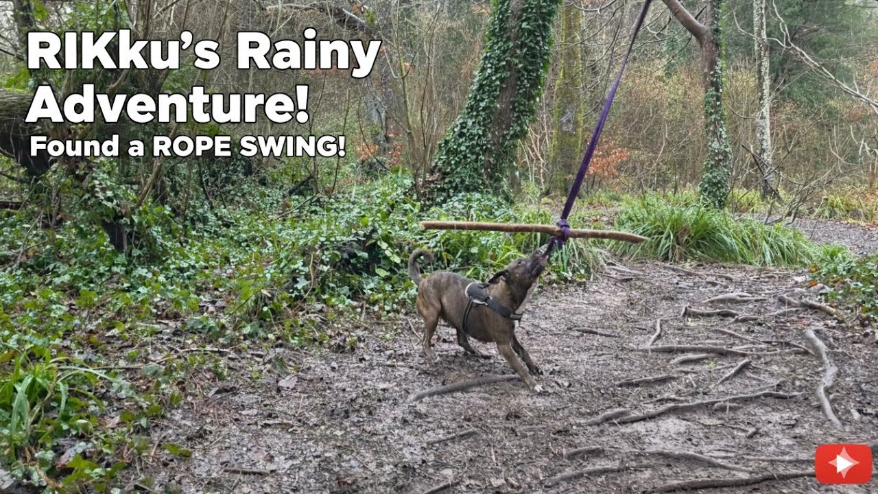 Rikku’s Rainy Day Surprise! 🌧️ She Found a ROPE SWING!