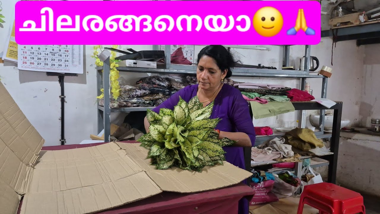 😍പല പല നാടുകളിലേക്ക്😍📞9526409624📞#plants #gardenplants #garden #happy 