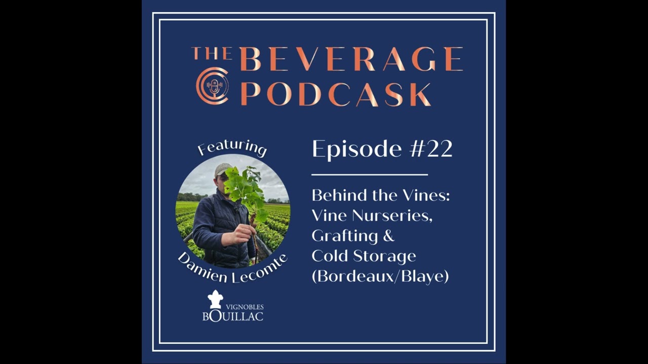 Ep #22 | Behind the Vines: Vine Nurseries, Grafting & Cold Storage (Bordeaux/Blaye)