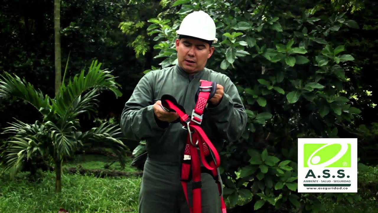 Inspección de arnés de cuerpo completo