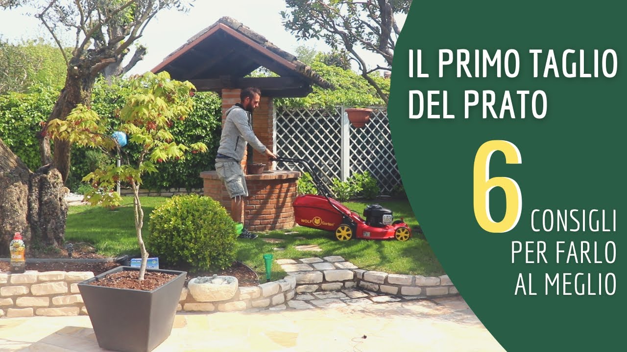 6 consigli per il primo taglio del prato dopo la semina