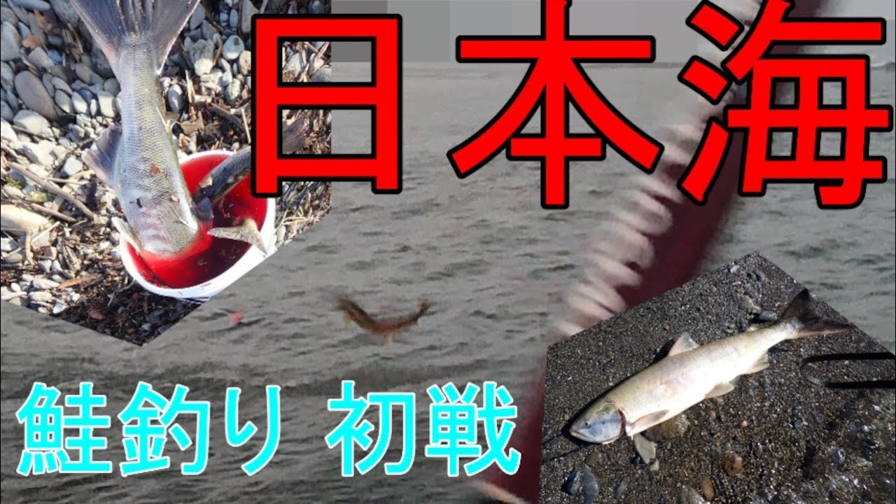 2025日9月4日本海鮭釣り海戦初戦初物鮭釣れた!!
