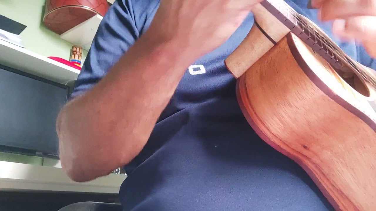 Cavaco Renato luthier