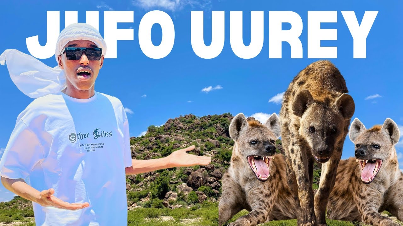 Waxan soo helay buur aan horey loo arag | Jufo uurey😱🏔️