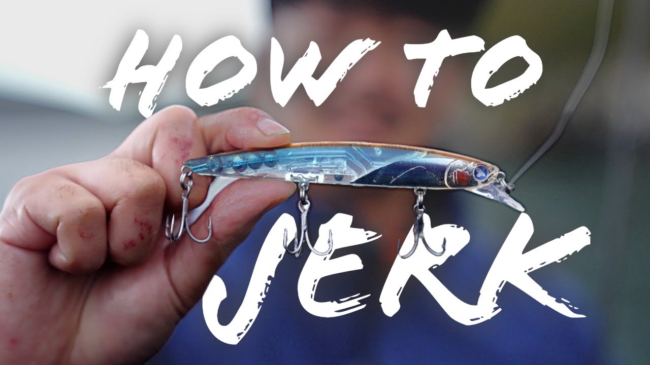 World of BlueBlue - Ep.1 : Supreme Seabass Jerking in Brittany, France