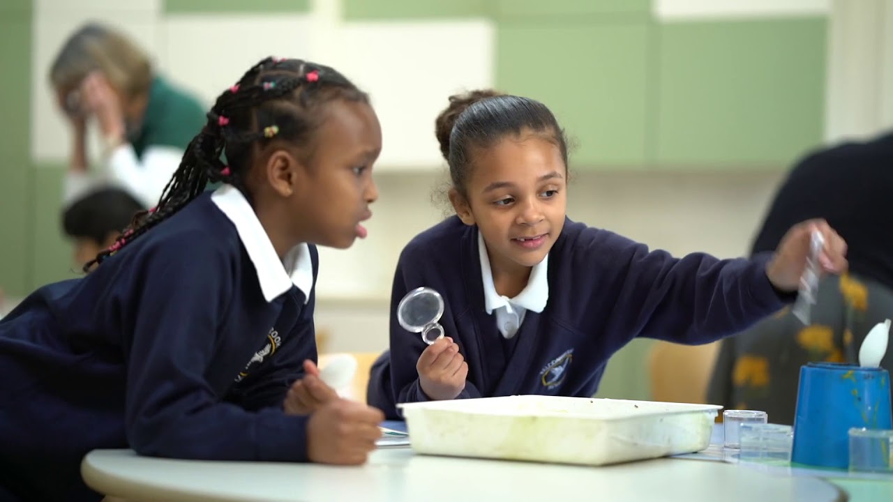 Outdoor Learning Activities at The Royal Parks' Lookout