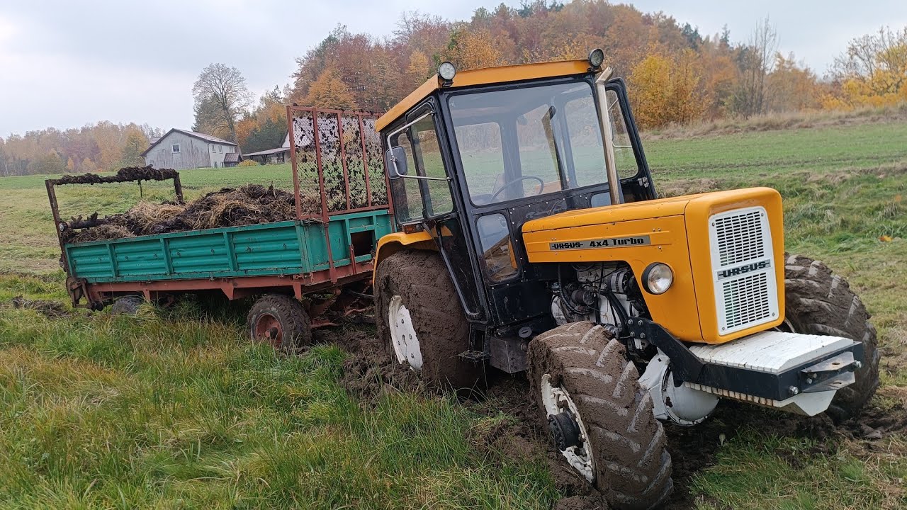 WTOPA ŻÓŁTEGO (URSUS 4X4 TURBO103) ROZRZUCANIE OBORNIKA