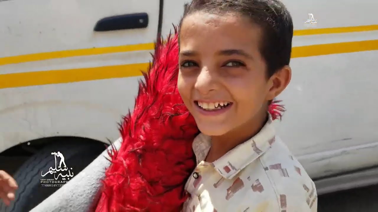 اخر مستجدات فتح طريق جولة القصر تعز اليوم 11 06 2024
