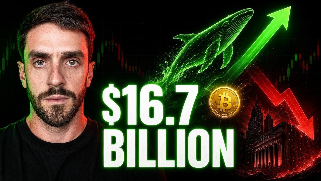 Bitcoin Holders: Whales Just Bought $16.7 Billion (While Wall Street Sold)