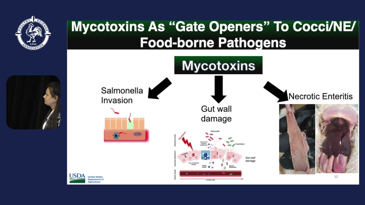 Day 4   PM Sessions   Understanding and Combating Mycotoxins for Sustainable Poultry Production