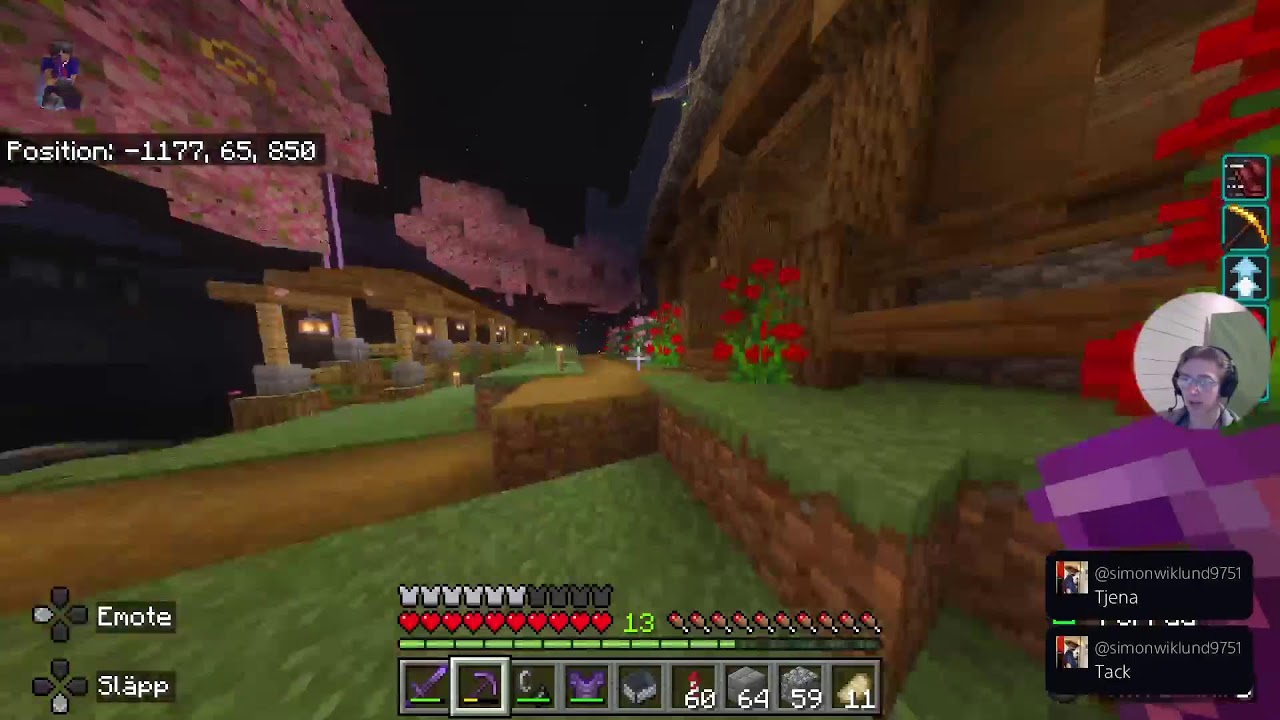 Minecraft stream