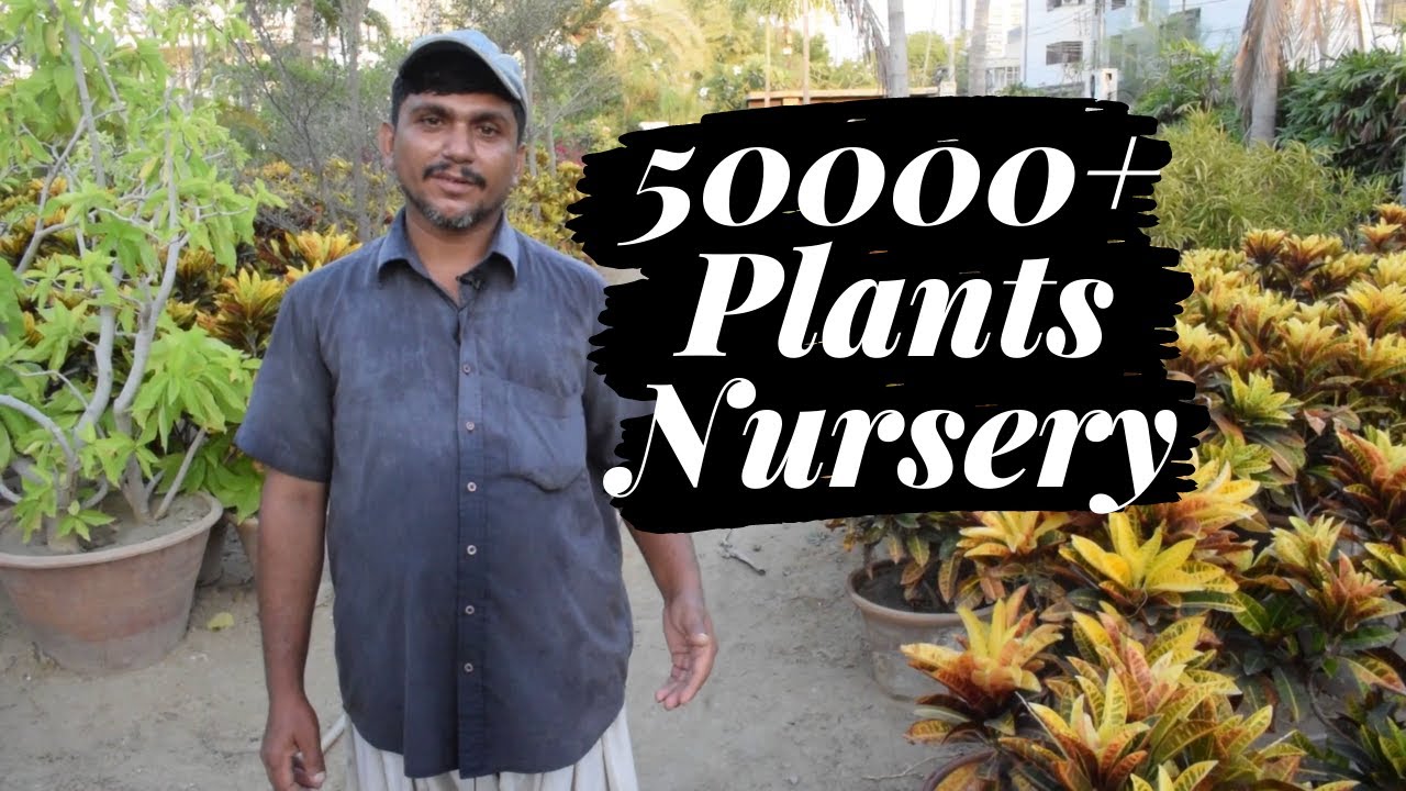 Karachi Biggest Plant Nursery Visit | Plants Species and Prices