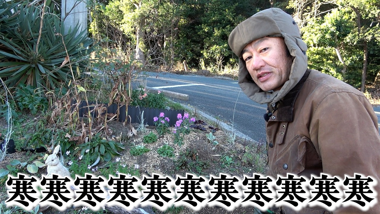 寒さに負けるな！！！！【カーメン君】【園芸】【ガーデニング】