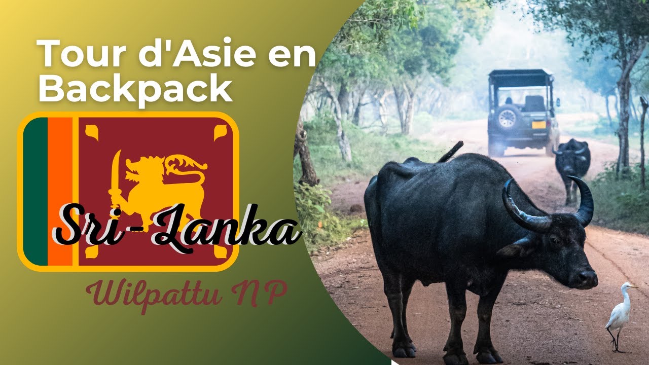 Backpack Asie ep 31: Sri-Lanka, wilpattu NP