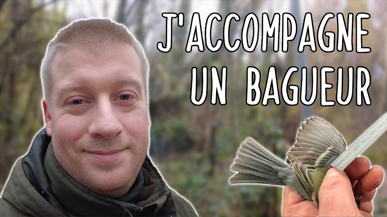 Le bagage chez Birds Bay