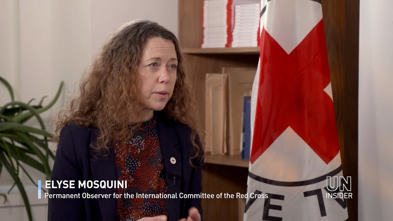 Elyse Mosquini | Permanent Observer for the International Committee of the Red Cross