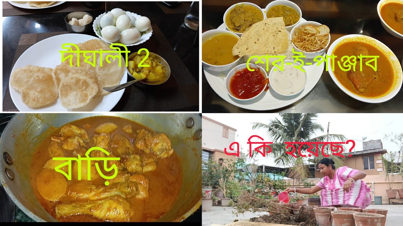 বাড়ি ফিরে এ কি দেখলাম?? প্রথম বার shere punjab🥘🍲🍗 #banglavlog 