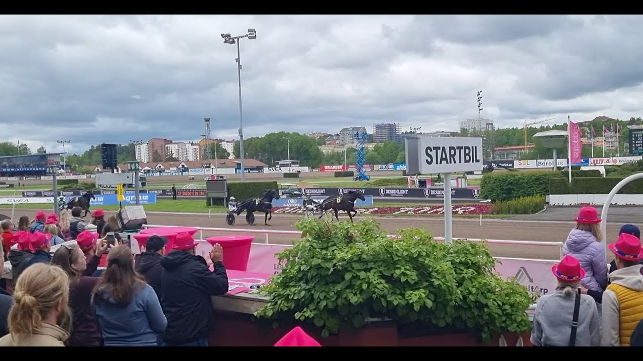 Elitloppet 2022 Solvalla Speed Race Final