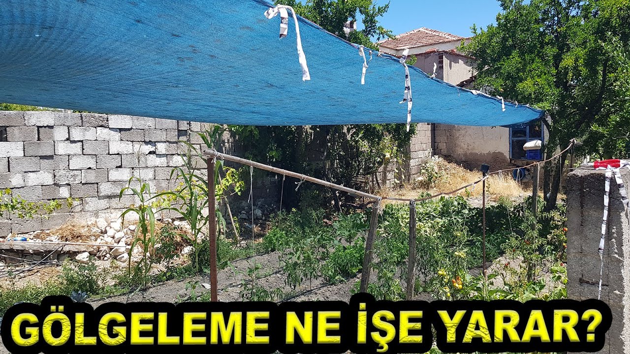 HOBİ BAHÇELERİNDE GÖLGELEME YAP VERİMİ, LEZZETİ VE KALİTEYİ ARTTIR. #moralye #hobibahçesi