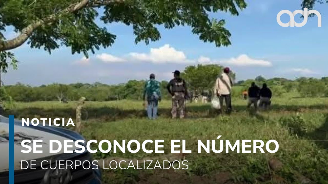 Hallan fosa clandestina en Jáltipan, Veracruz; investigan cuántos cuerpos hay