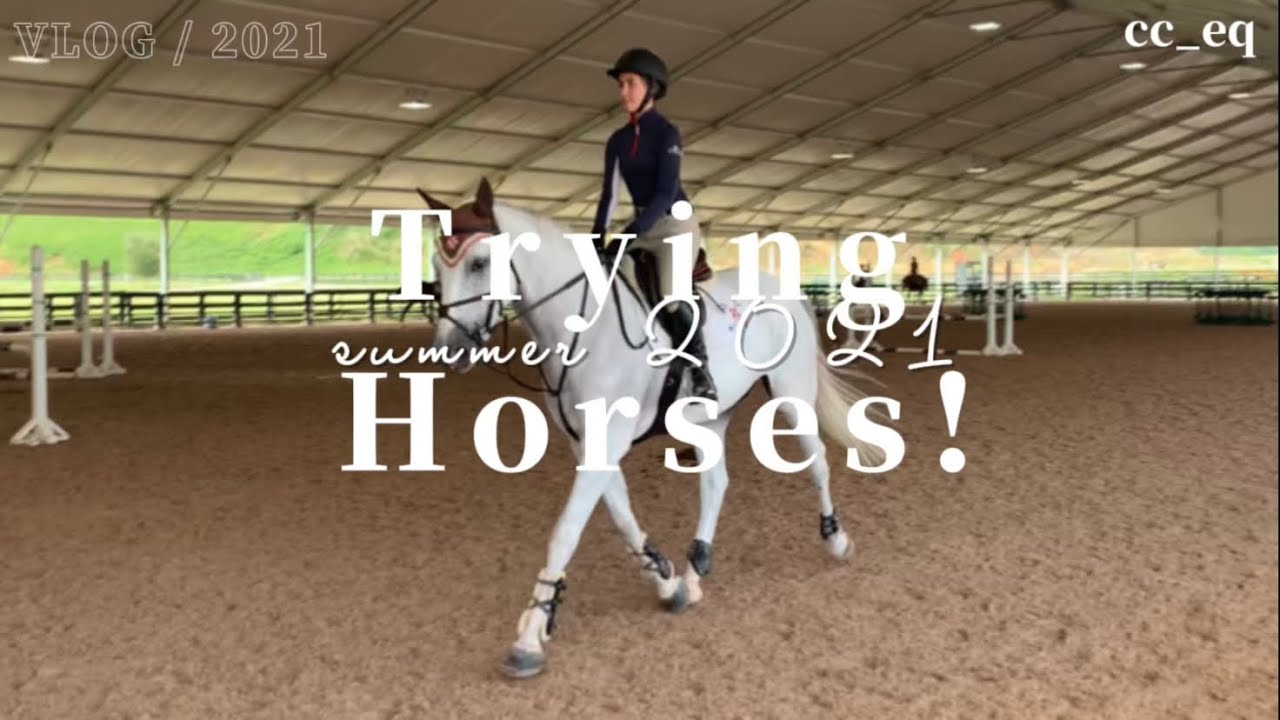 Trying Horses! { Summer 2021 (ish) }