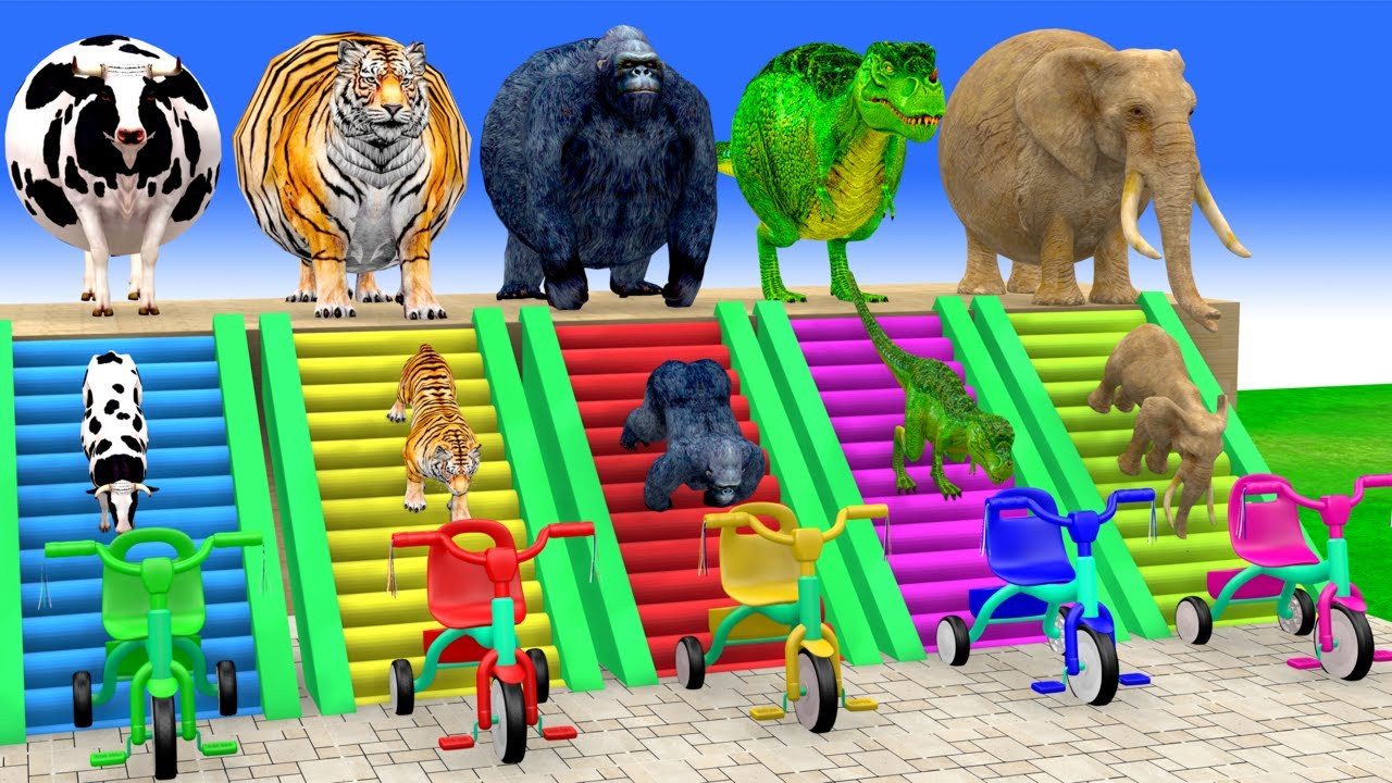 Long Slide Game with Cow Elephant Gorilla Hippopotamus Tiger 3d Animal Game Funny 3d Animals