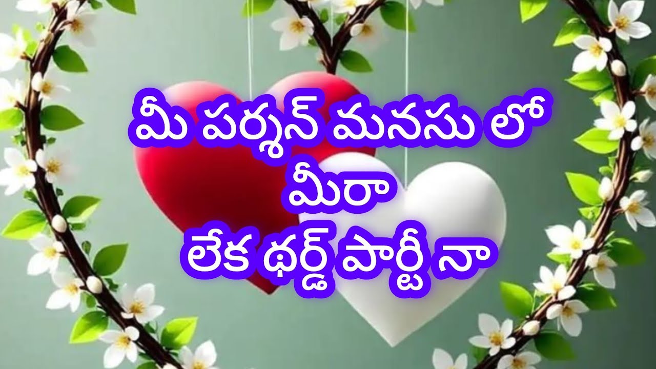 💯❤️మీ పర్శన్ మనసు లో మీరా లేక థర్డ్ పార్టీ నా Tarot reading today 
