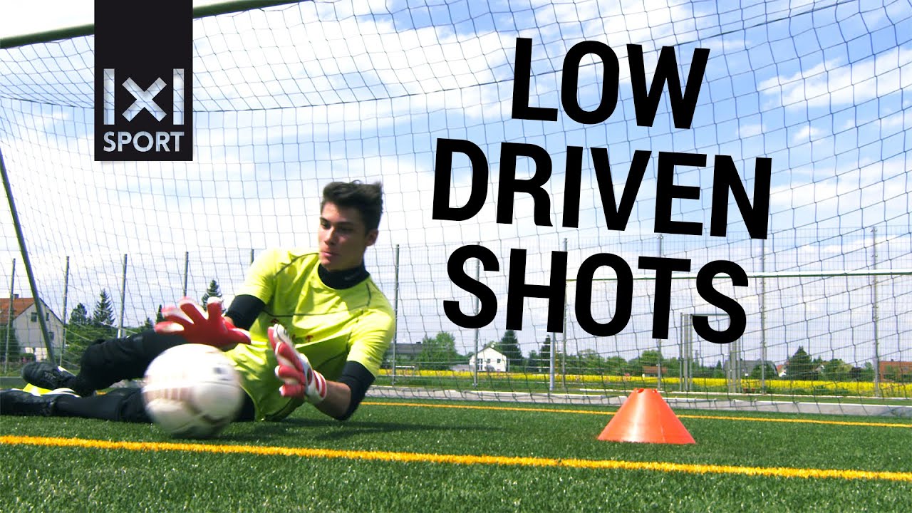Goalkeeper Training including Error Analysis: Low Driven Shots