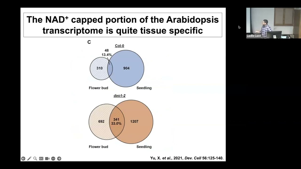 Brian Gregory: The effects of RNA modifications on plant biology