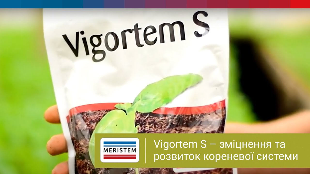 Vigortem S – зміцнення та розвиток кореневої системи
