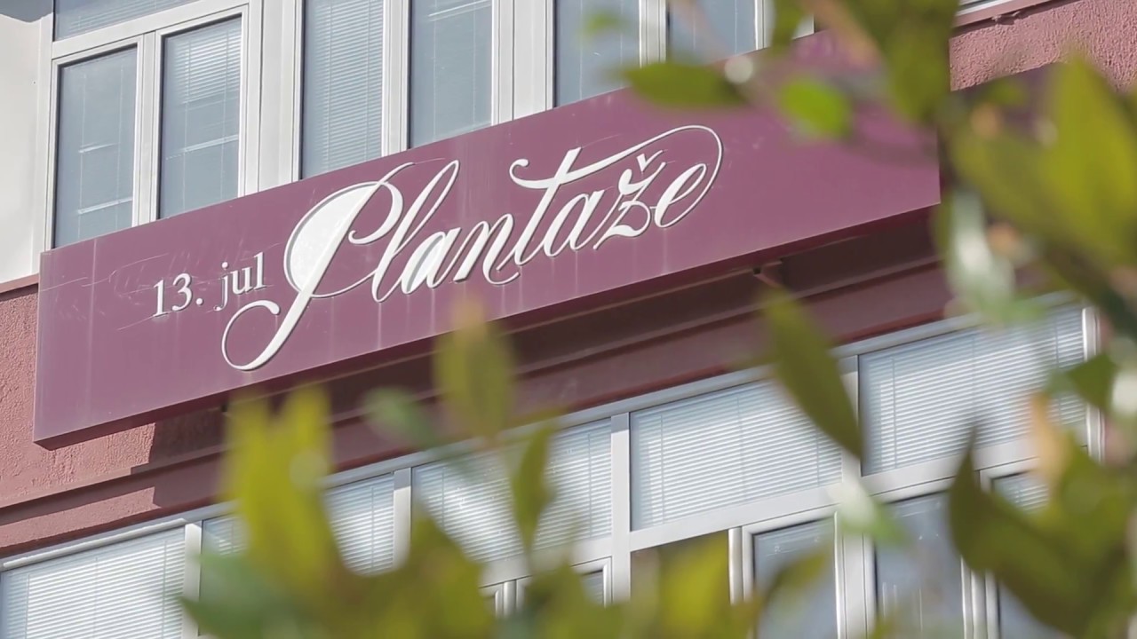 Plantaže - 55 zlatnih godina kompanije