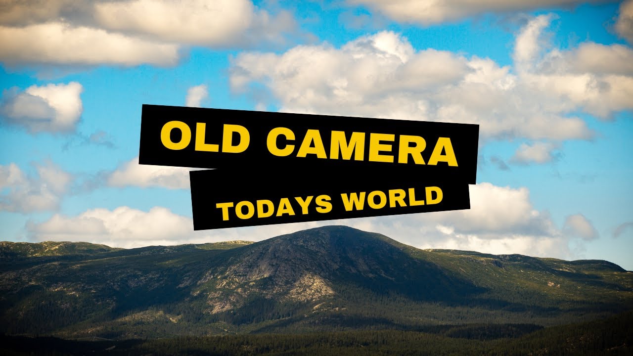 Reviving the Canon 1D IV | Using an Older Camera in Today's World