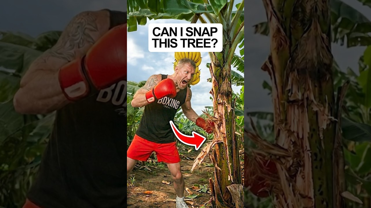 CRAZY: Pro Boxer totally DESTROYS A Tree