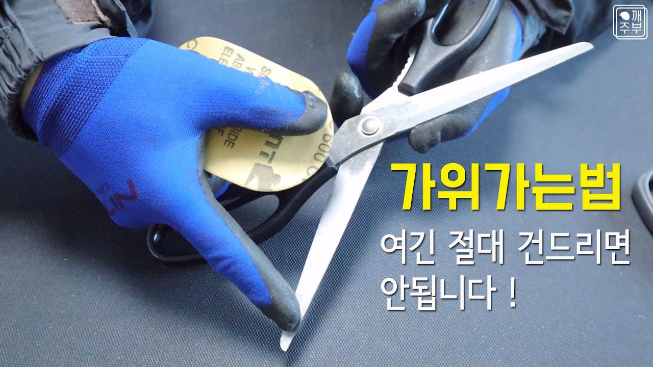 가위 잘 가는 법 단! 이곳은 절대 건드리지 마세요 #칼갈이 #다이소추천템