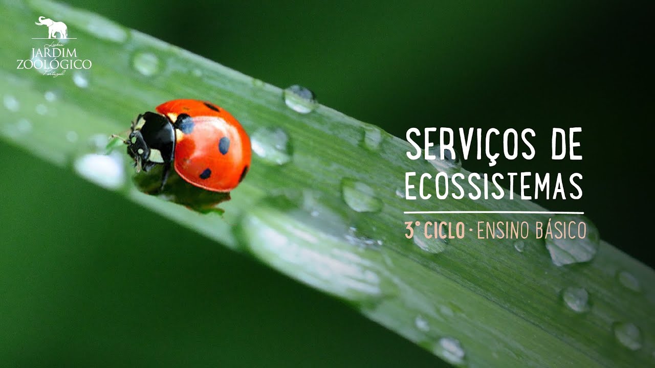 Serviços dos Ecossistemas - 3º Ciclo do Ensino Básico | Jardim Zoológico