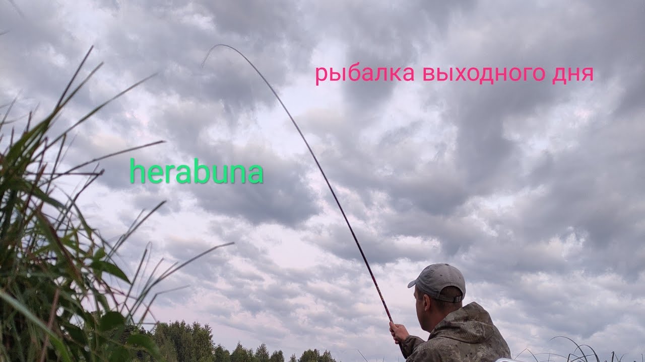 Herabuna. Рыбалка на азиатскую маховую удочку. Кто-то ворует наш провиант. Хищные утки атакуют!!!
