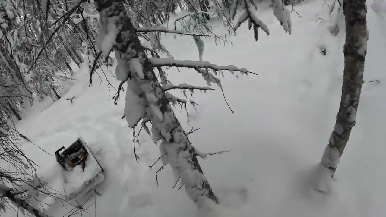 2026 Jan.  Digging out my traps. Pt1.